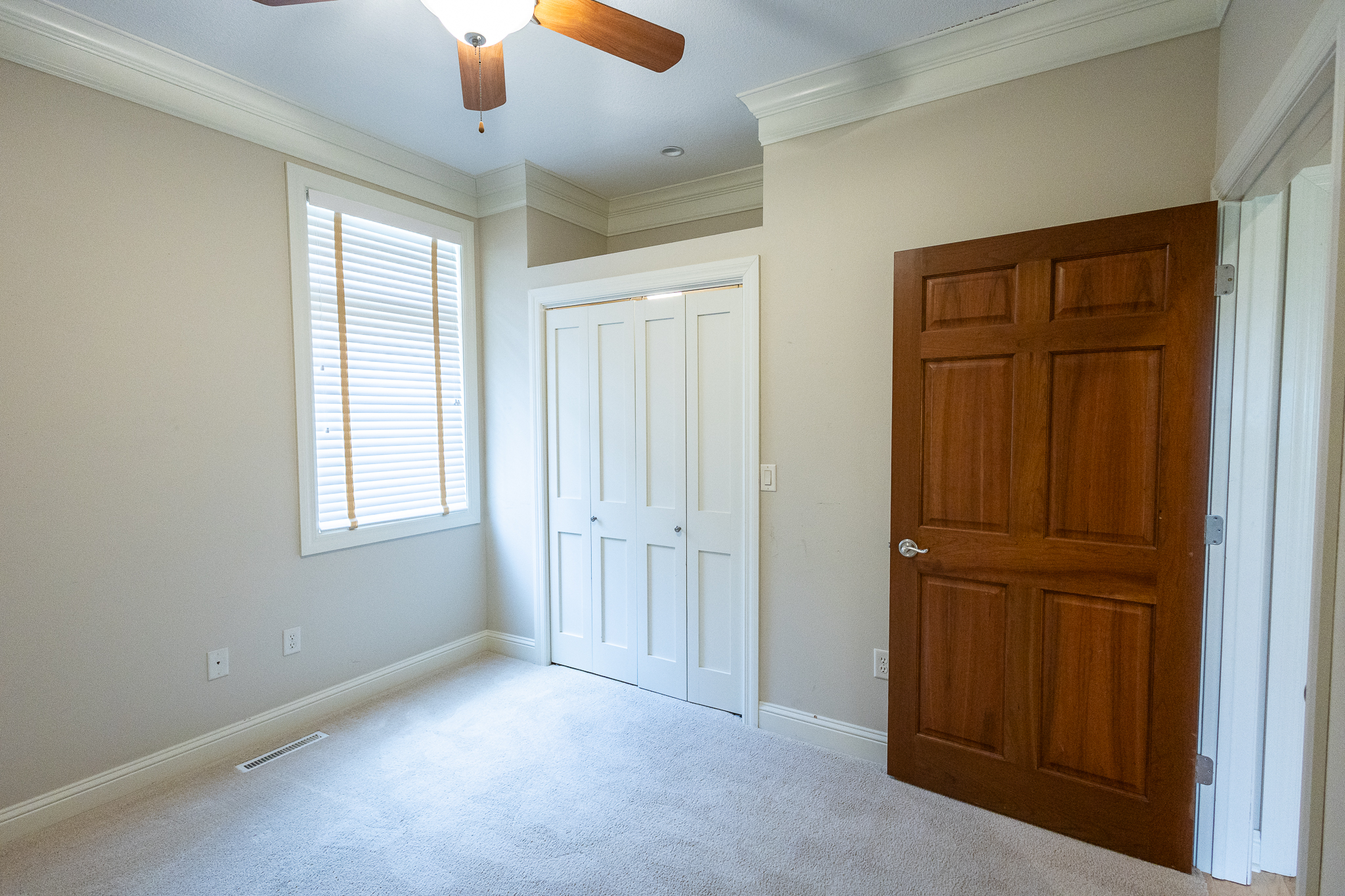 Lower level built-in and gas fireplace